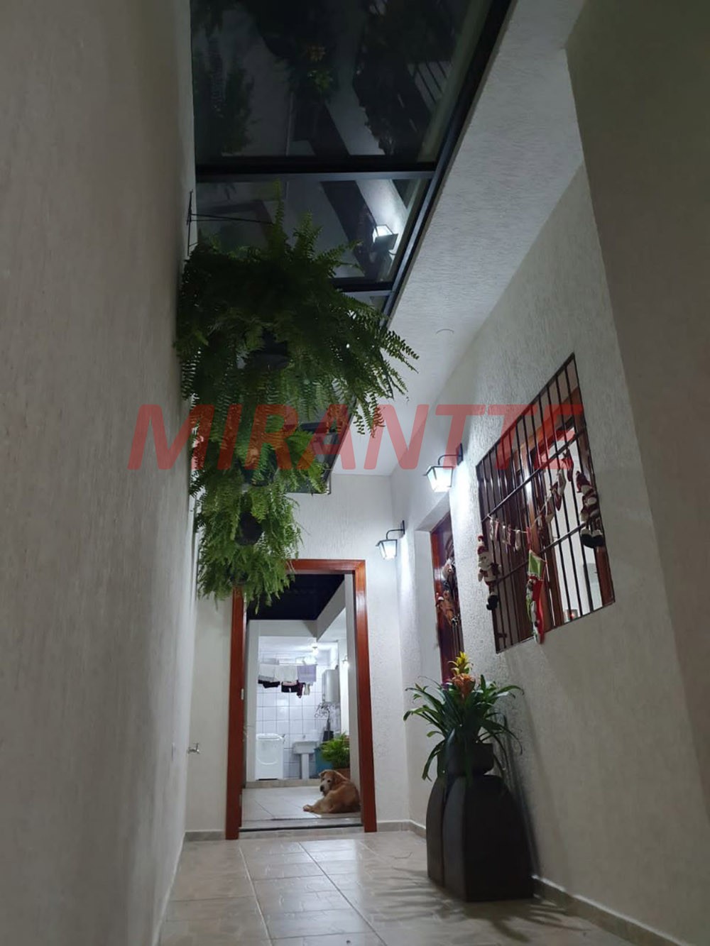 R2 Image 240815 #17