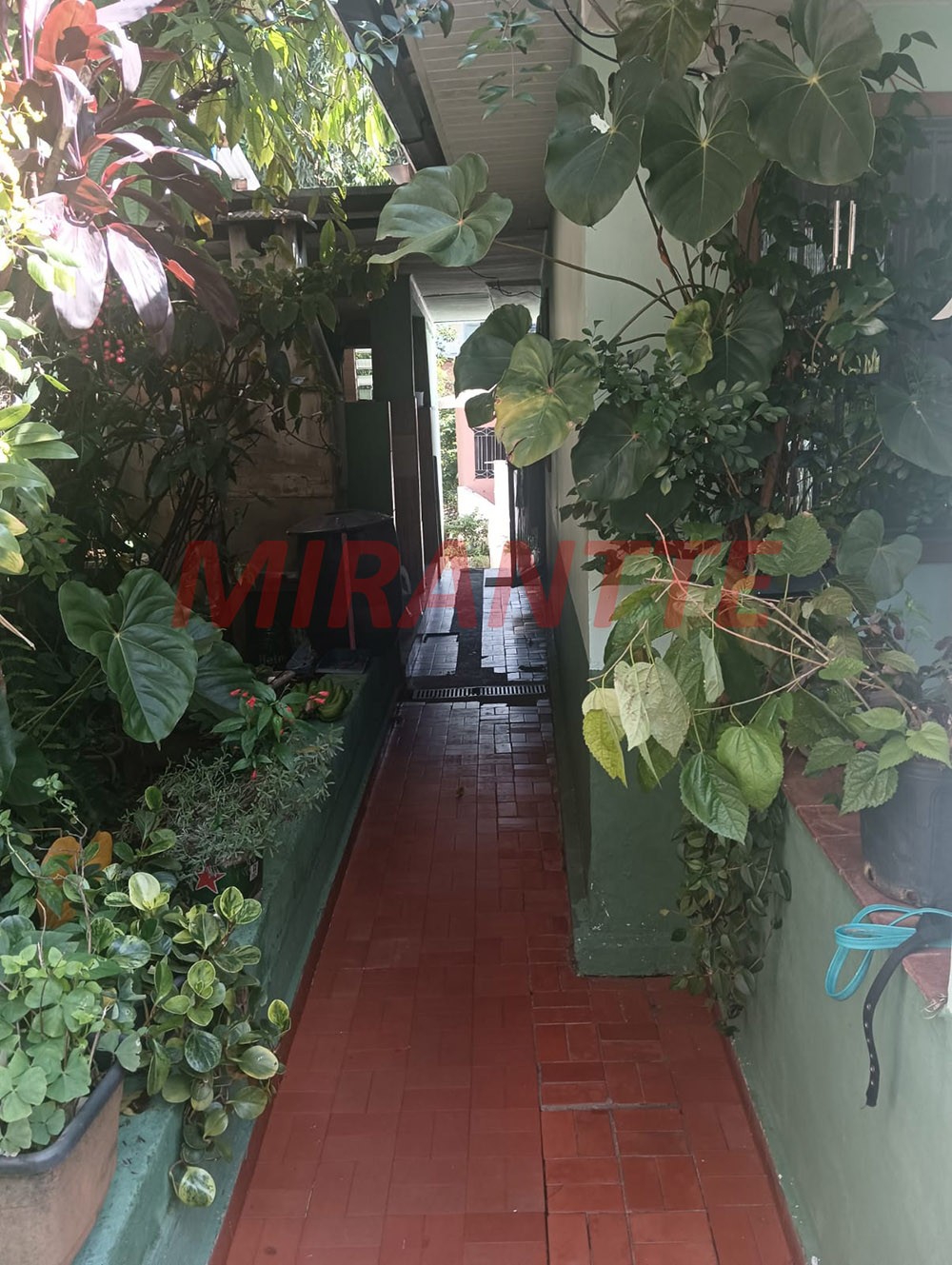 Casa terrea de 200m² com 3 quartos em Picanço