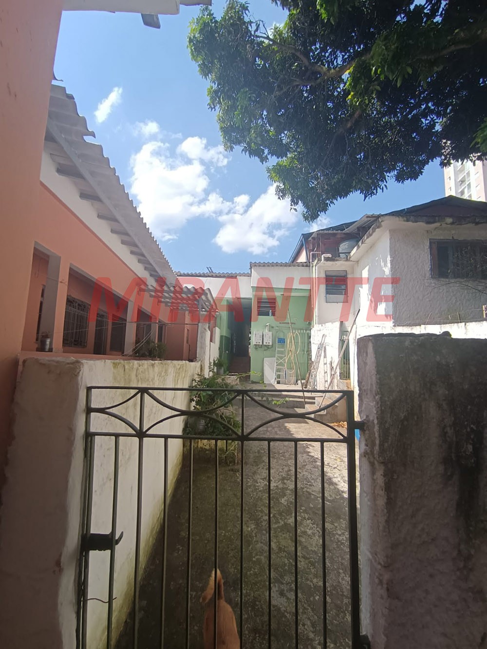 Casa terrea de 200m² com 3 quartos em Picanço