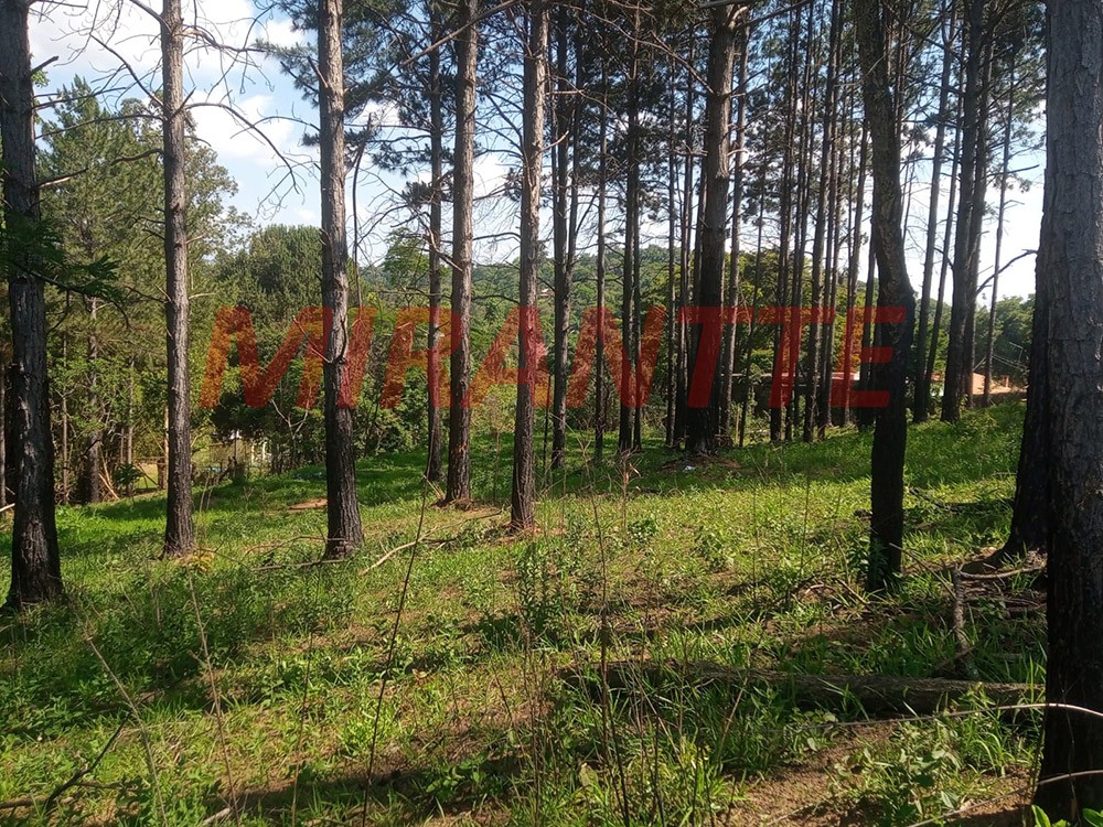Terreno de 2079m² em Alvinópolis