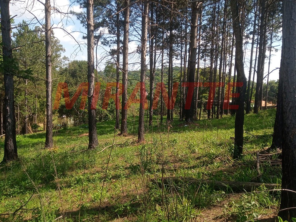 Terreno de 2079m² em Alvinópolis
