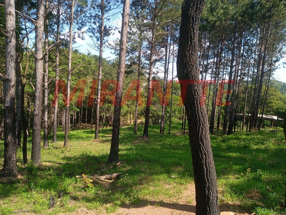Terreno de 2079m² em Alvinópolis
