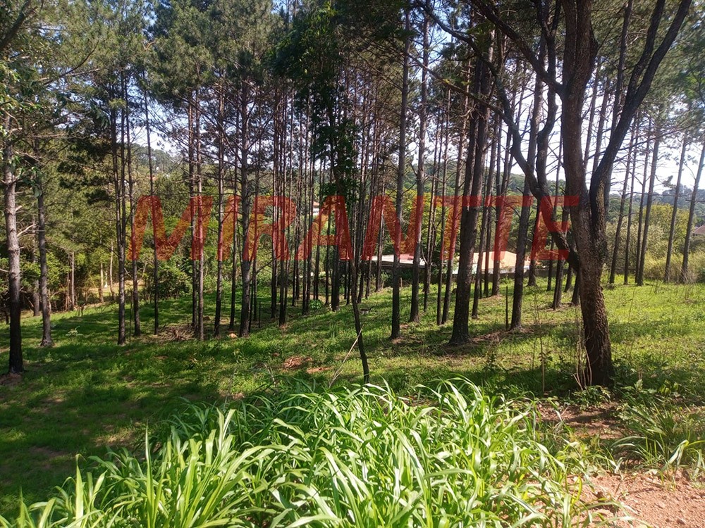 Terreno de 2079m² em Alvinópolis