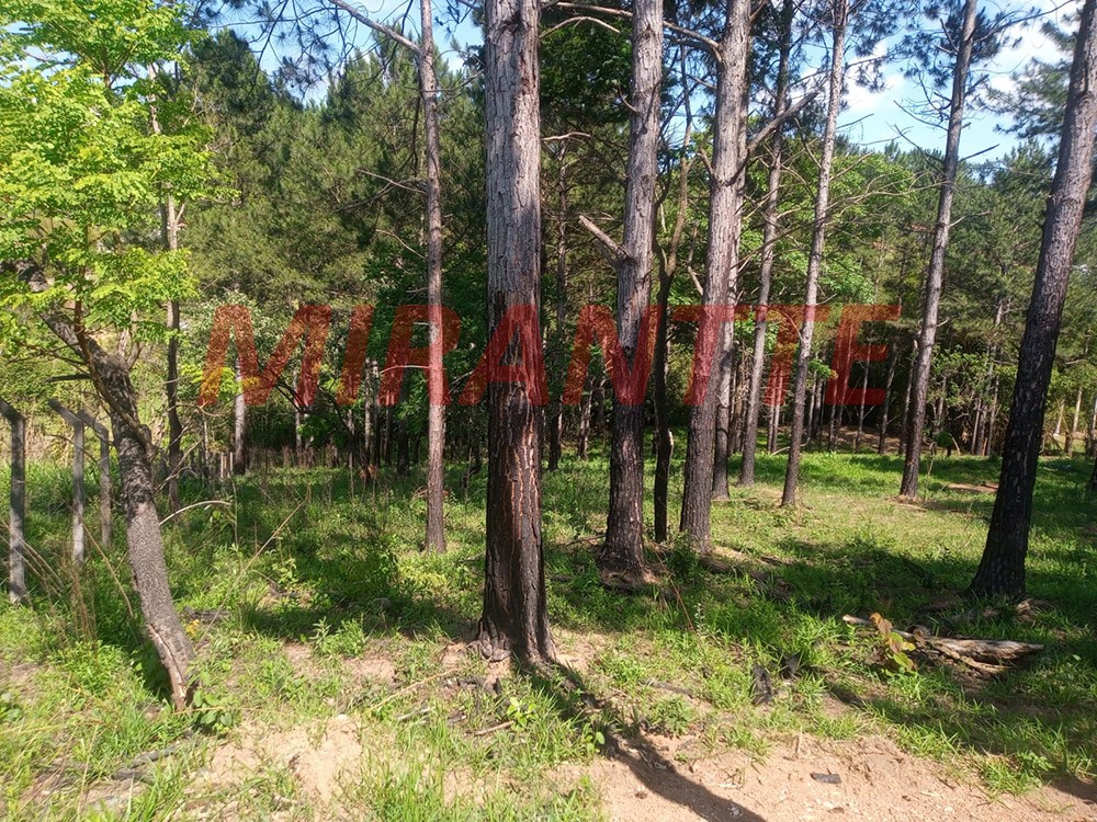 Terreno de 2079m² em Alvinópolis