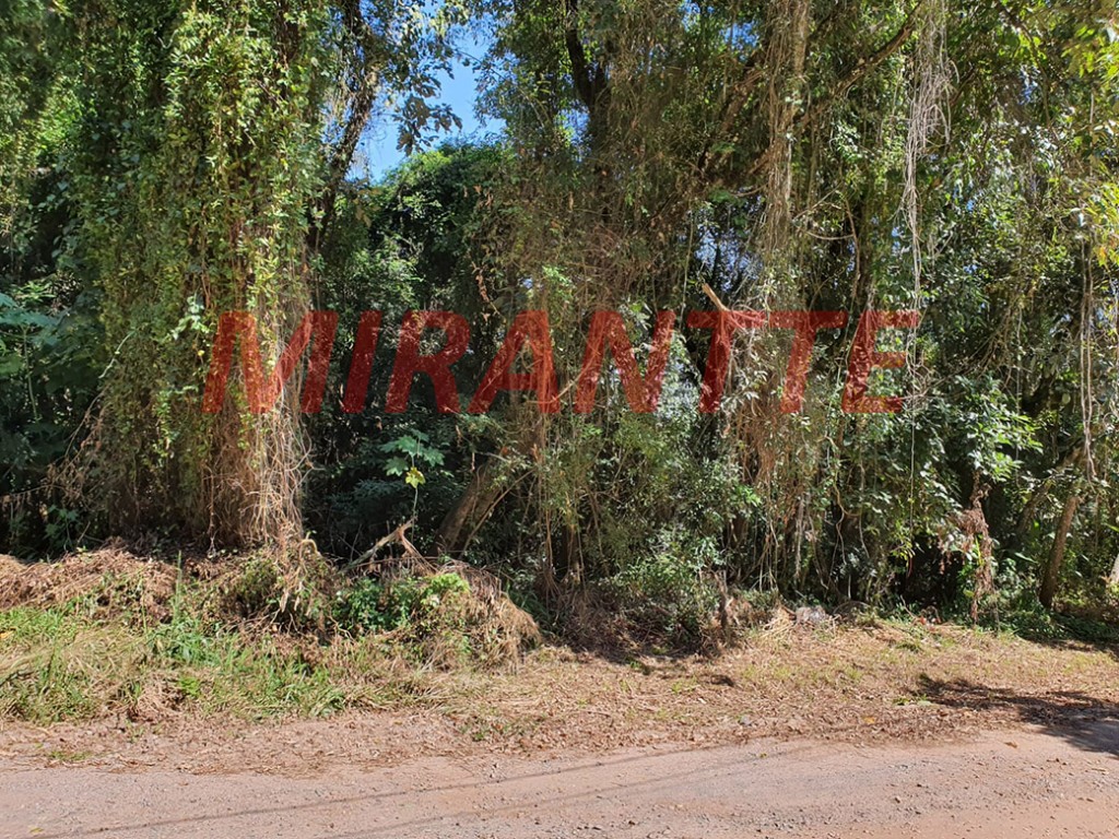 Terreno de 971m² em Serra da Cantareira
