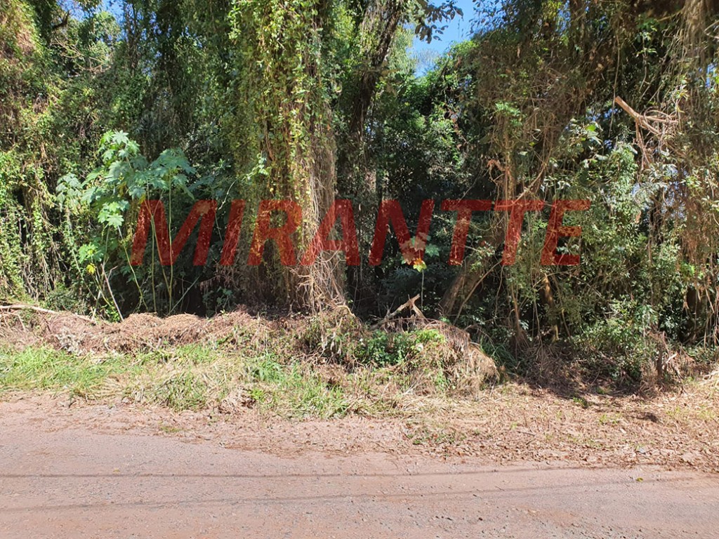 Terreno de 971m² em Serra da Cantareira