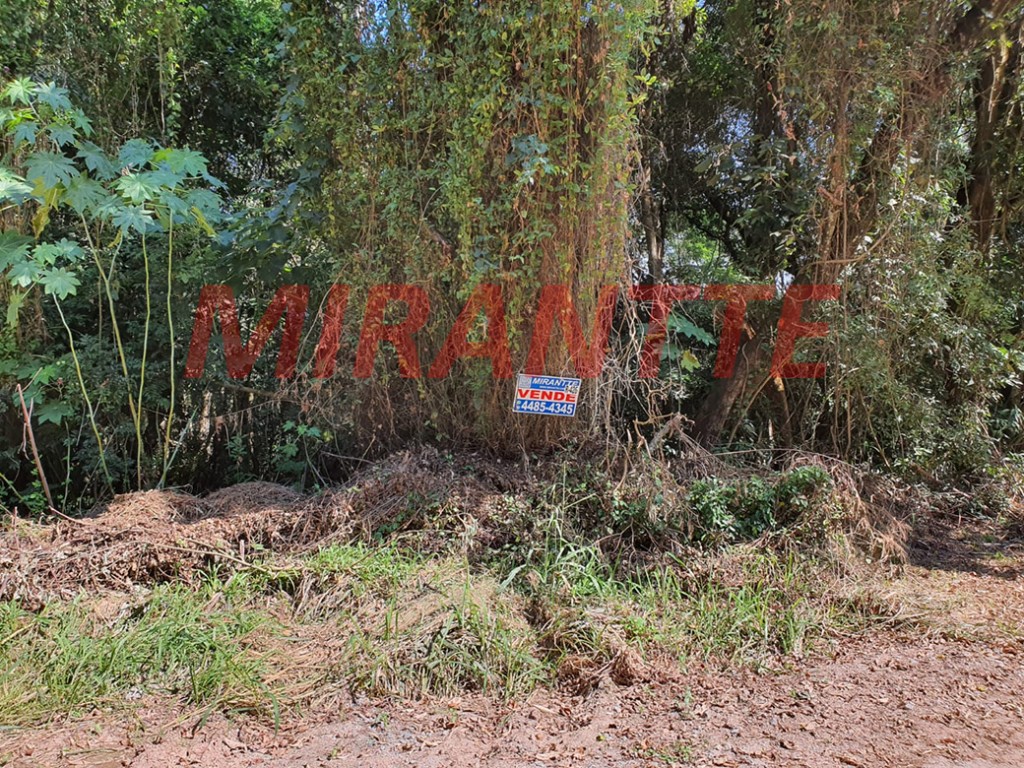 Terreno de 971m² em Serra da Cantareira