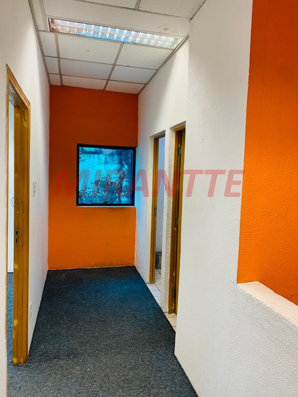 Galpao de 800m² em Saúde