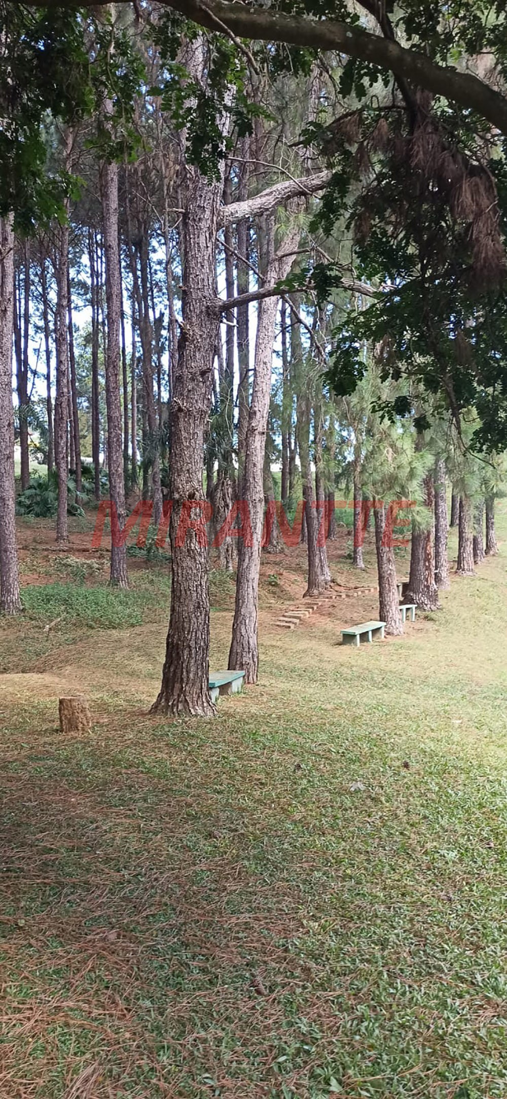 Casa terrea de 185m² com 3 quartos em Dos Silvas