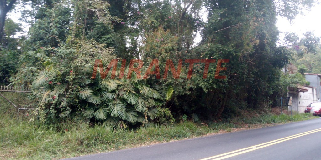 R2 Image 272371 #5