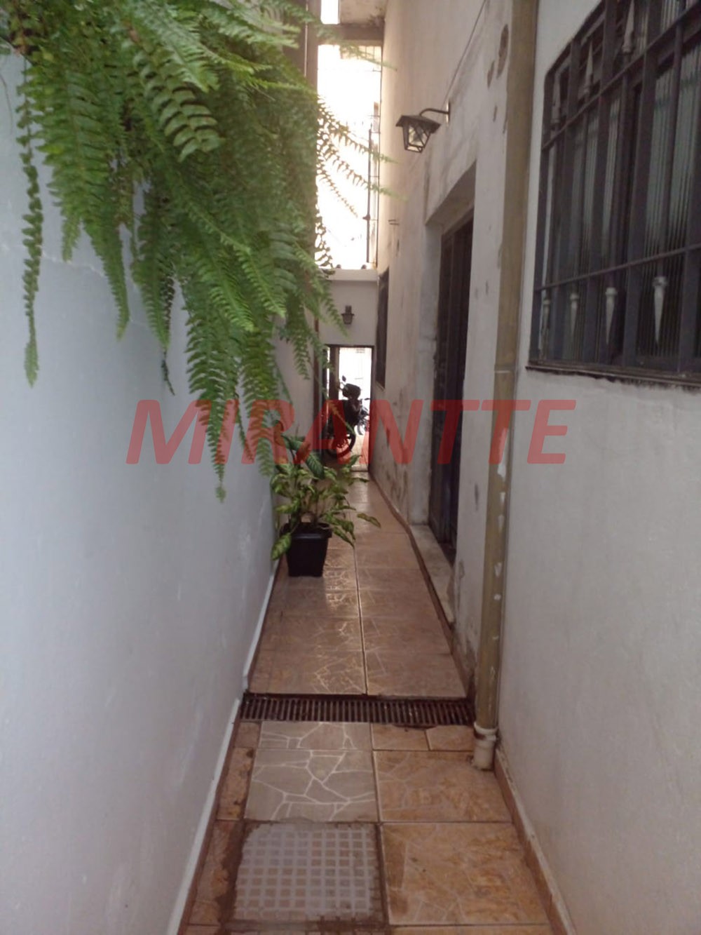 Sobrado de 246m² com 7 quartos em Ipiranga