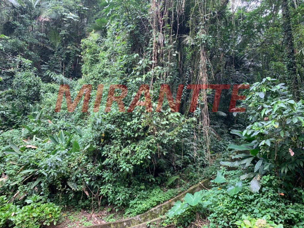 Terreno de 3907m² em Serra Da Cantareira