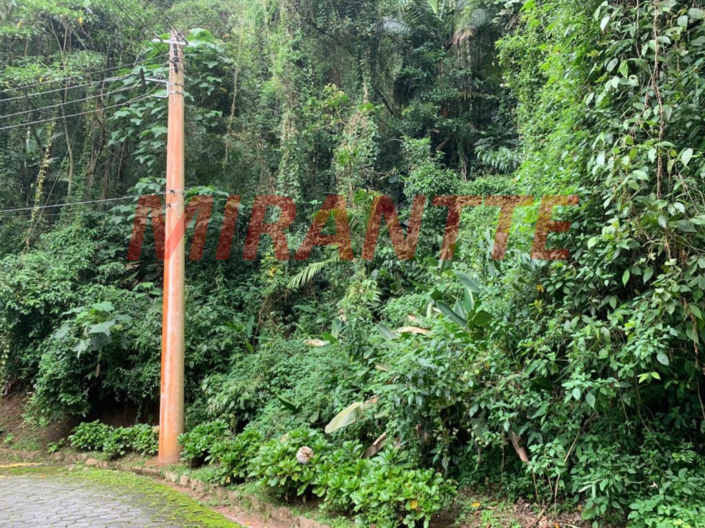 Terreno de 3907m² em Serra Da Cantareira