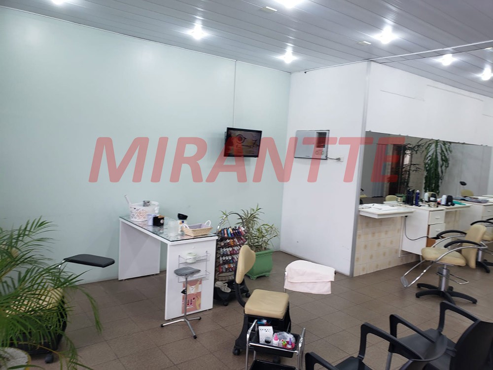Comercial em Vila Basileia