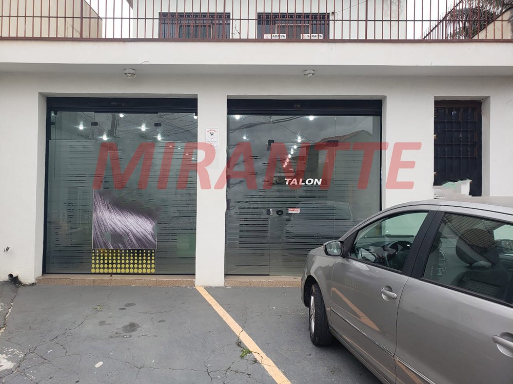 Comercial em Vila Basileia