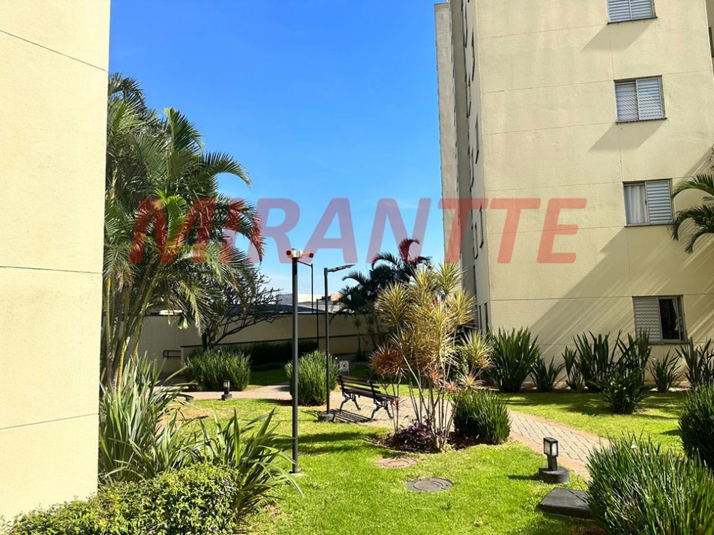 Apartamento com 2 quartos em Limão
