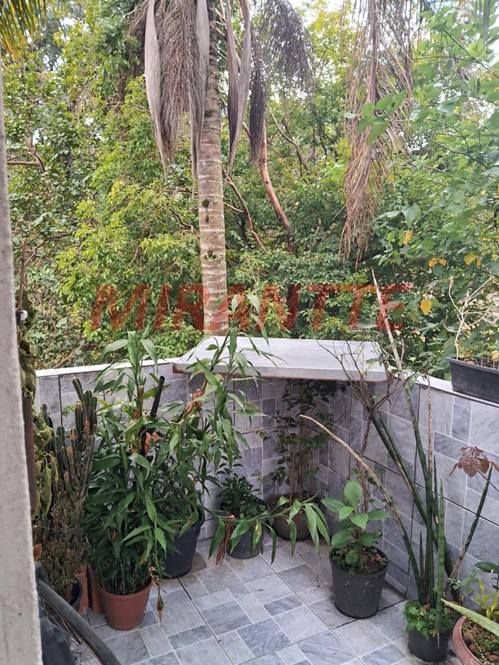 Terreno de 87m² em Vila Albertina
