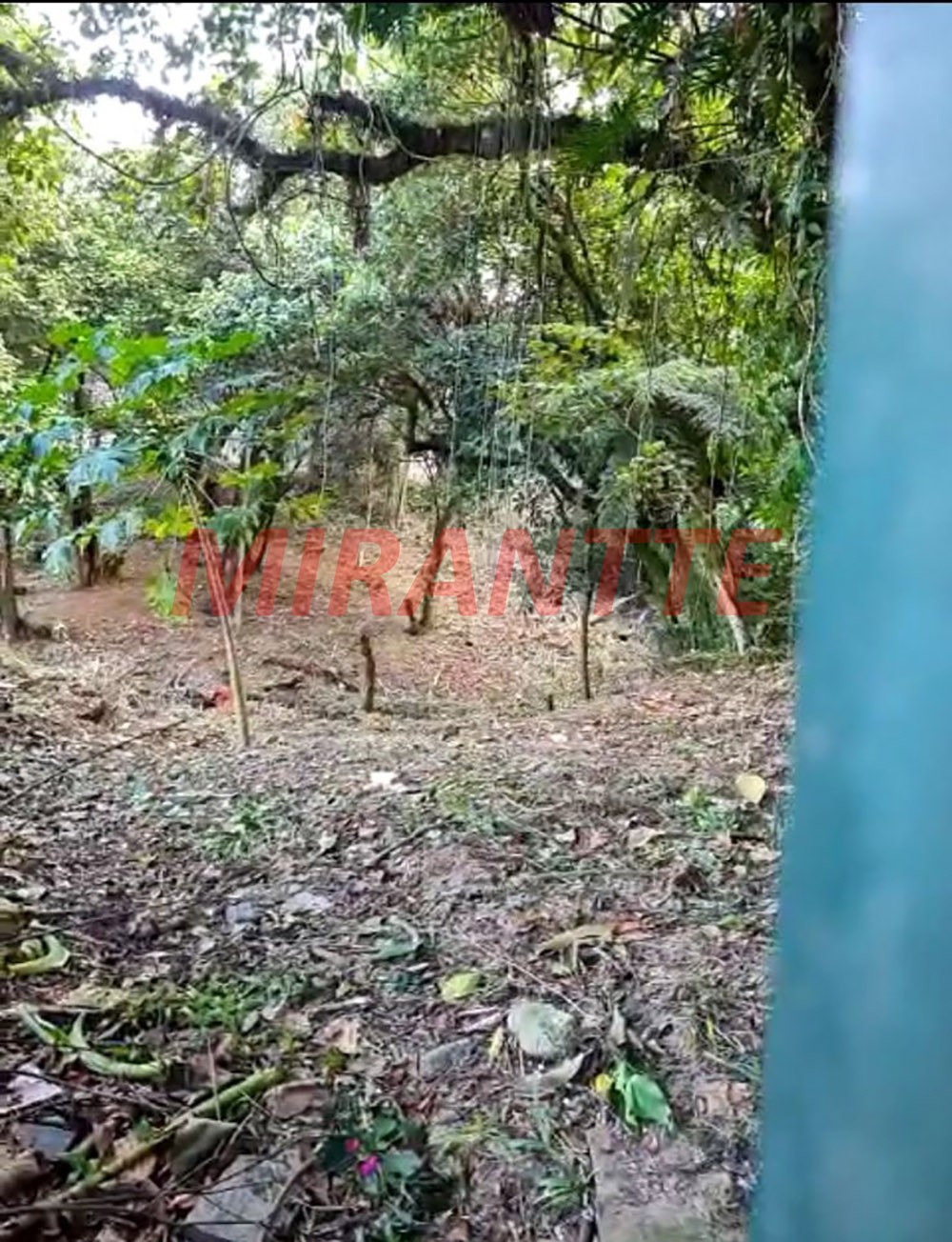 Terreno de 462m² em Horto Florestal
