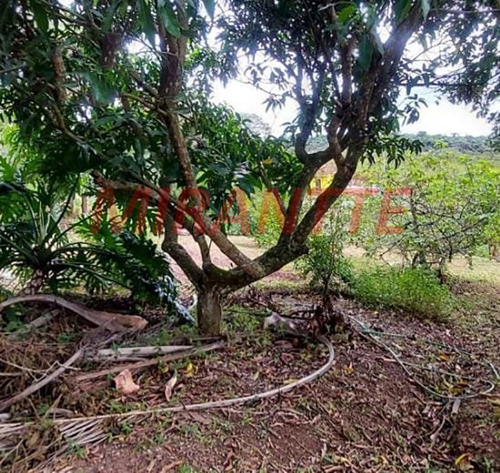 ChÁcara de 320m² com 7 quartos em Caixa Dágua