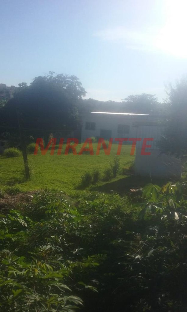 Terreno de 8066m² em Jardim Imperial