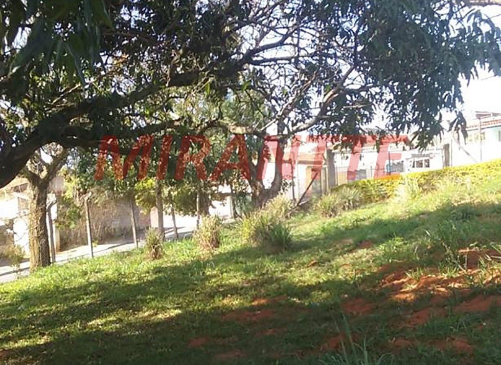 Terreno de 8066m² em Jardim Imperial