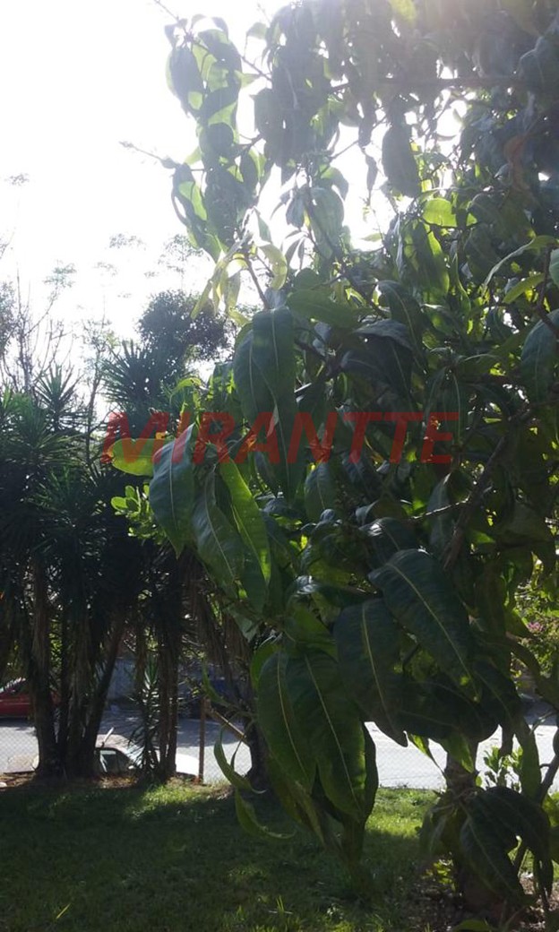 Terreno de 8066m² em Jardim Imperial