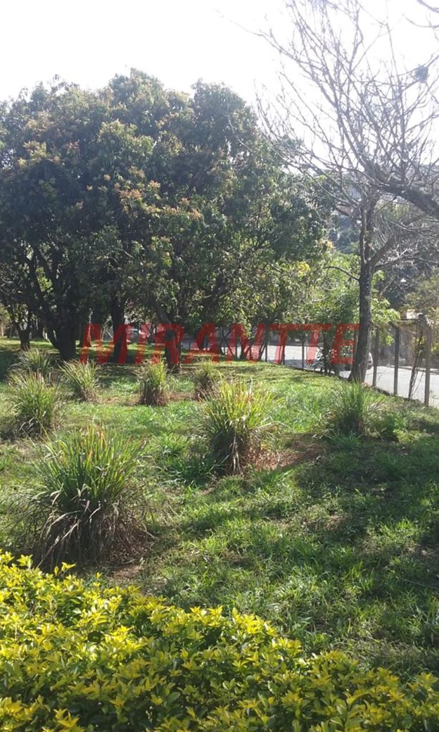 Terreno de 8066m² em Jardim Imperial