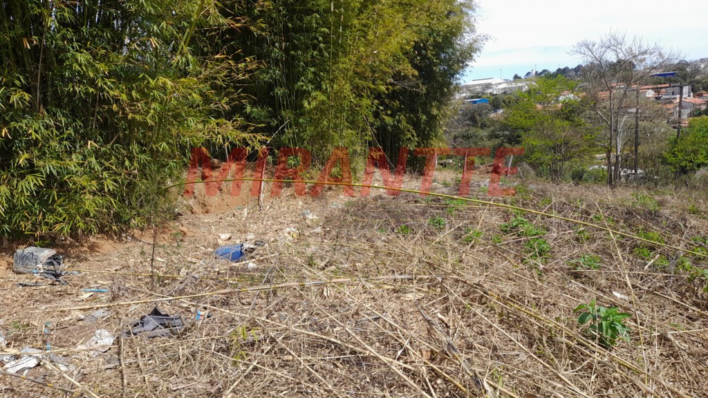 Terreno de 317m² em Morro Grande