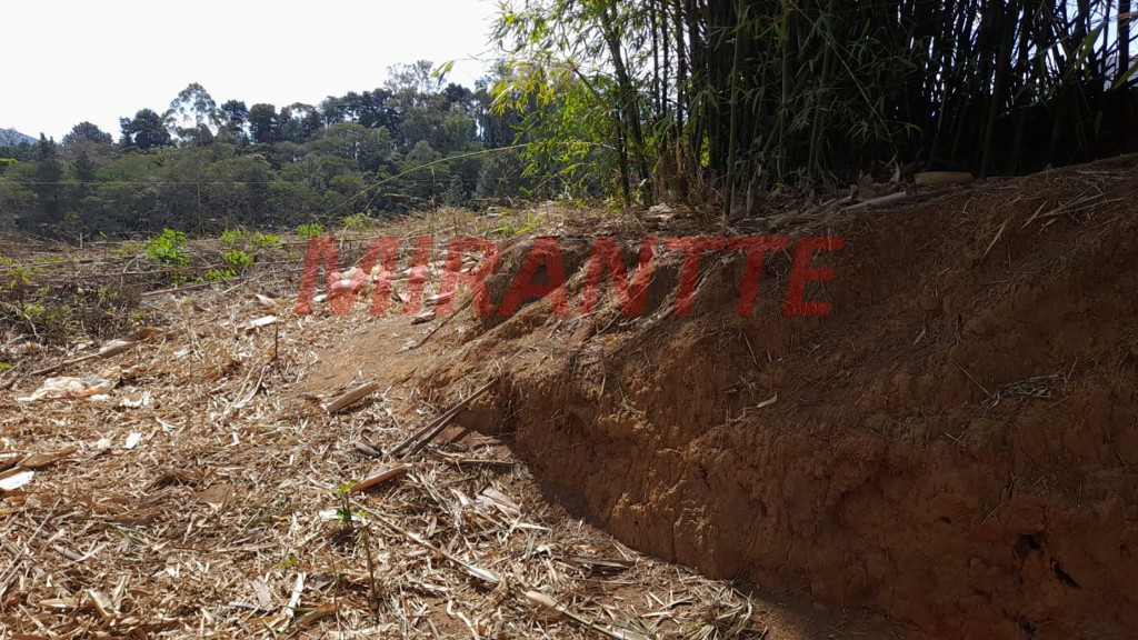 Terreno de 317m² em Morro Grande