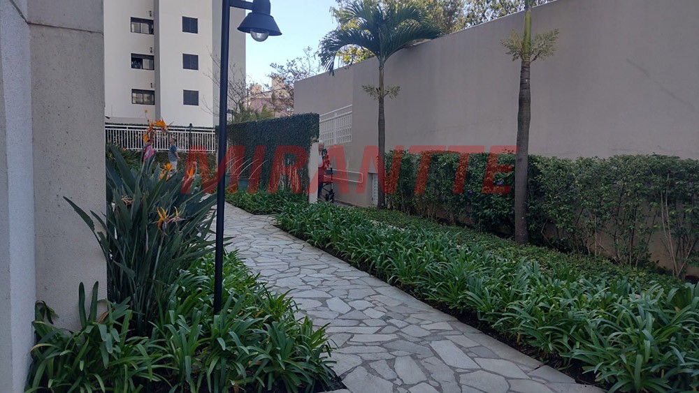 Apartamento de 85m² com 2 quartos em Parque Mandaqui