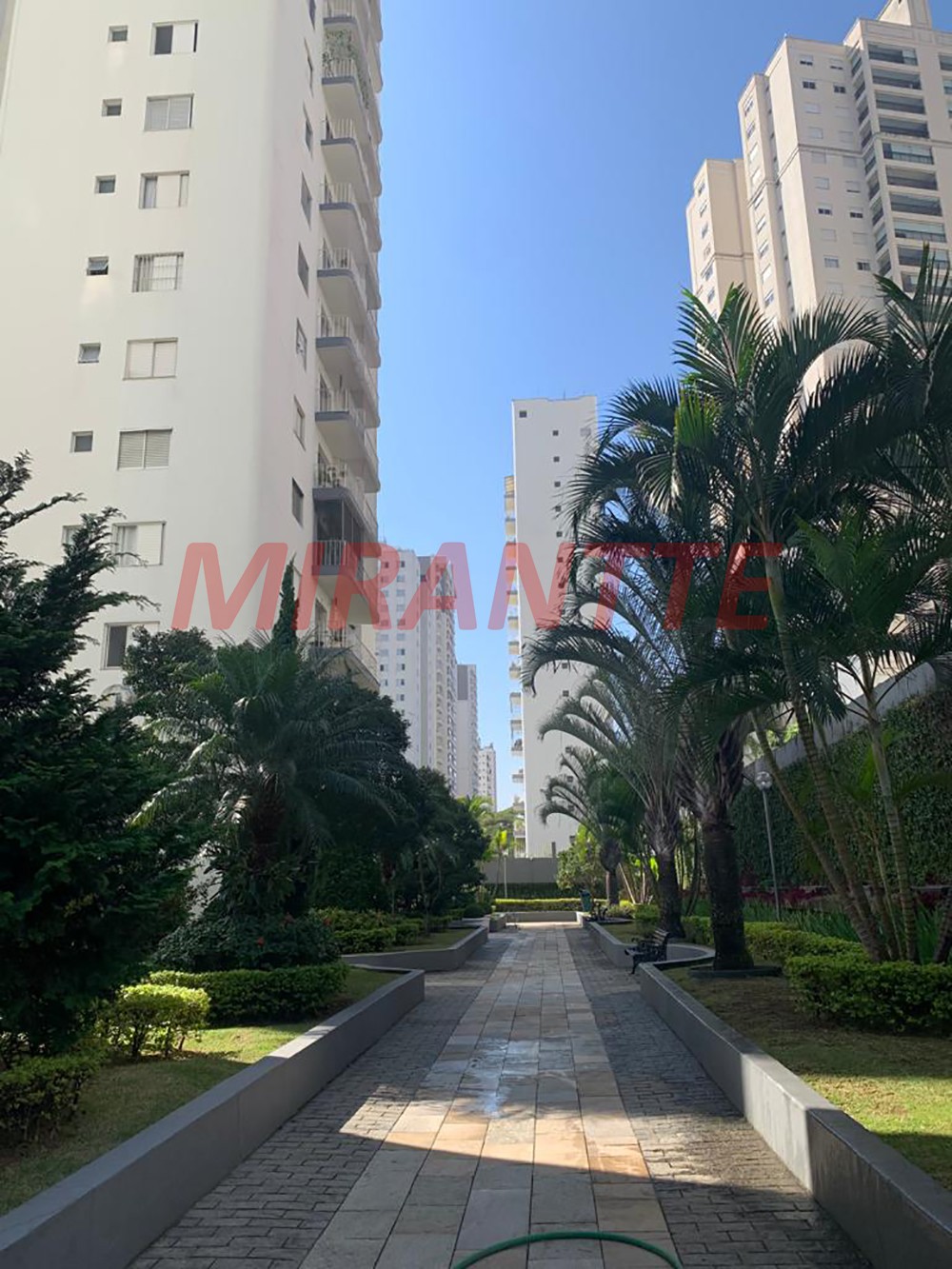 Apartamento de 94m² com 3 quartos em Belenzinho