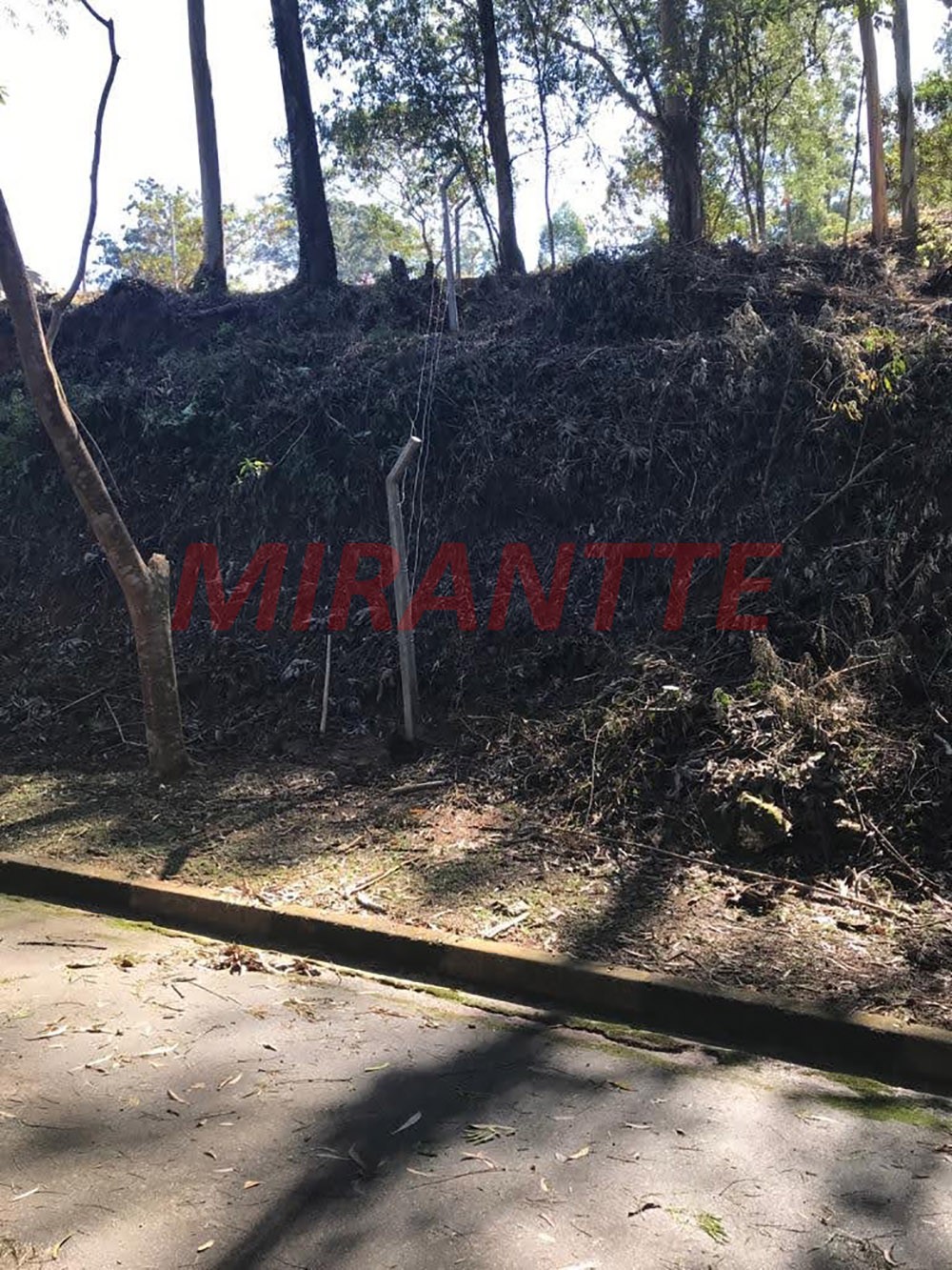 Terreno de 612m² em Cachoeirinha