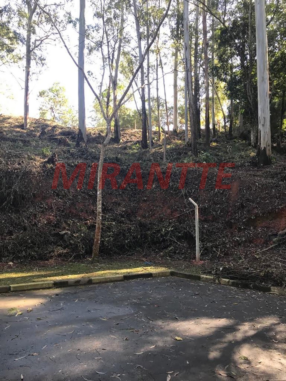 Terreno de 612m² em Cachoeirinha