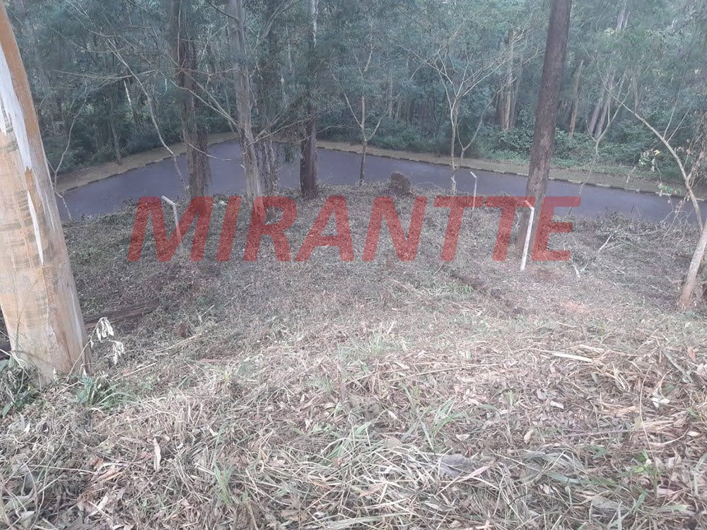 Terreno de 612m² em Cachoeirinha