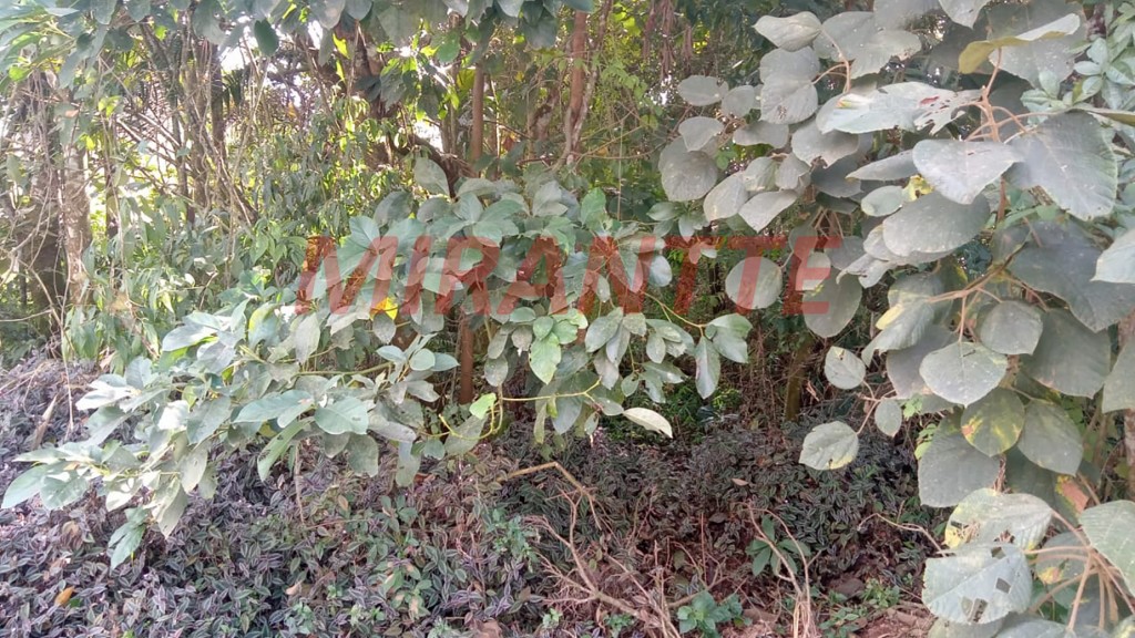 Terreno de 390m² em Jardim Samambaia