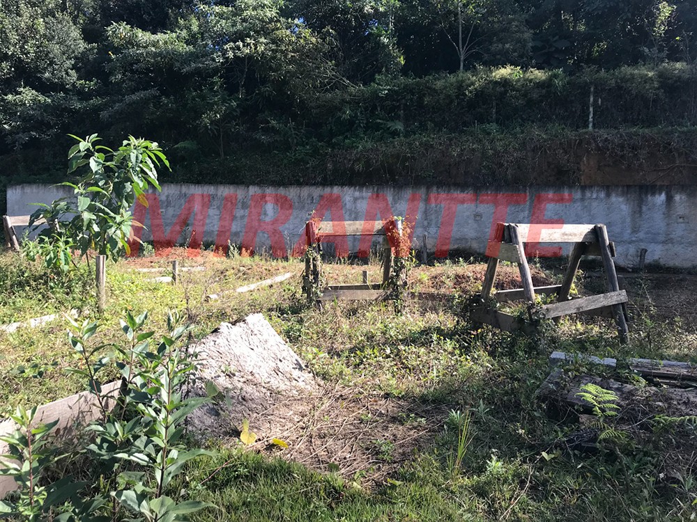 Terreno de 1000m² em Serra da Cantareira