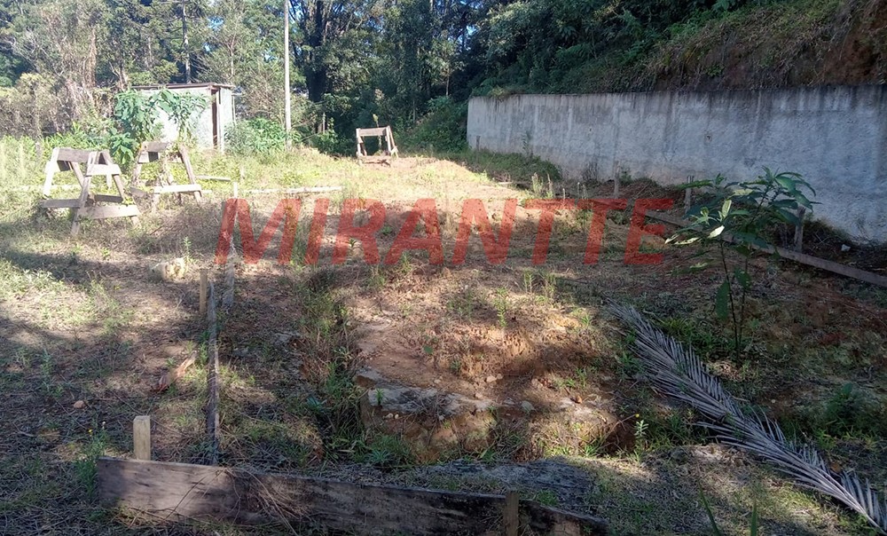Terreno de 1000m² em Serra da Cantareira