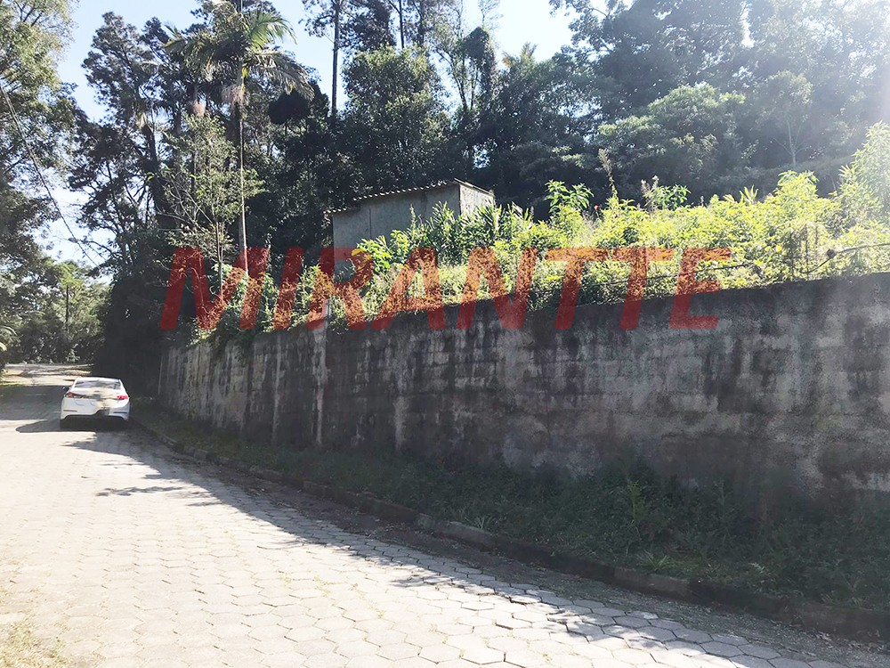 Terreno de 1000m² em Serra da Cantareira