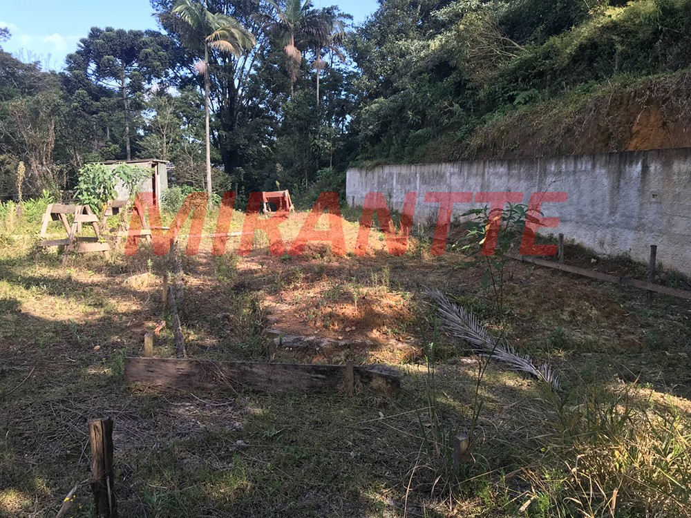 Terreno de 1000m² em Serra da Cantareira