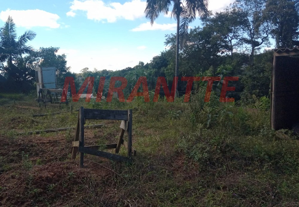Terreno de 1000m² em Serra da Cantareira