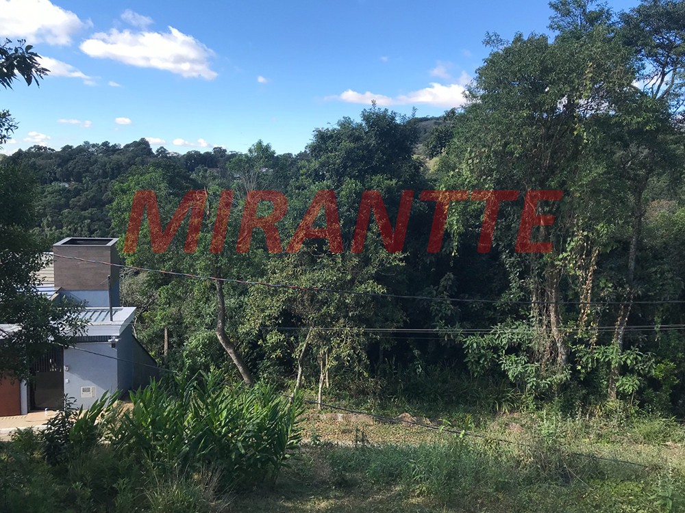 Terreno de 1000m² em Serra da Cantareira