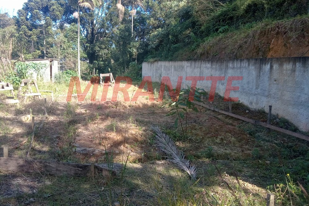 Terreno de 1000m² em Serra da Cantareira