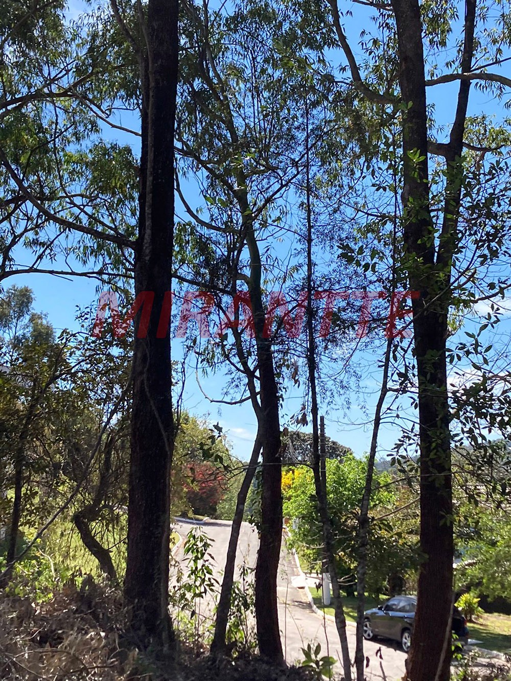 Terreno de 1575m² em Serra da Cantareira