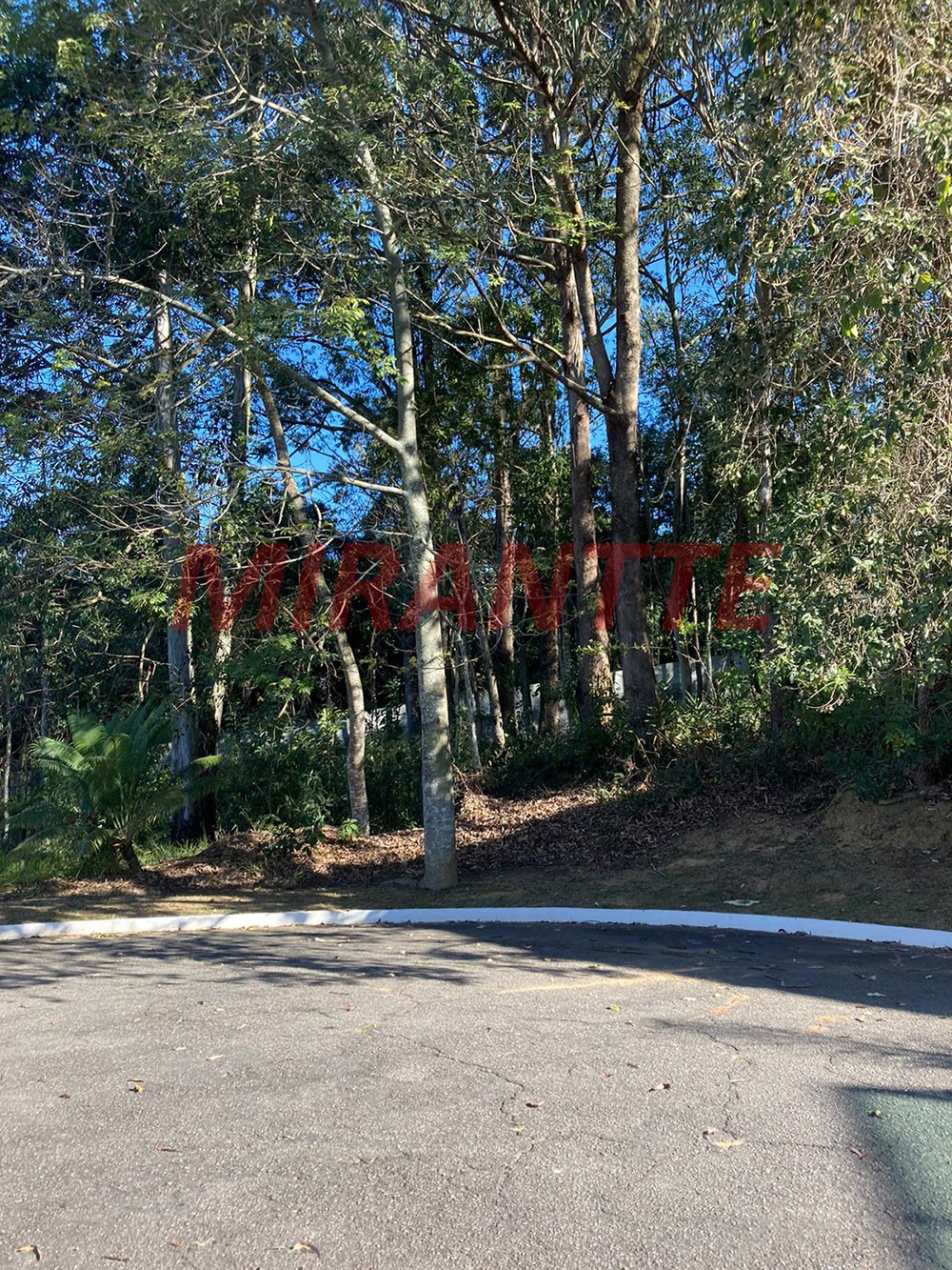 Terreno de 1575m² em Serra da Cantareira