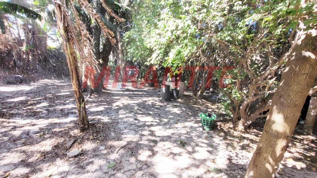 Terreno de 1288m² em Vila Rosa Minelia
