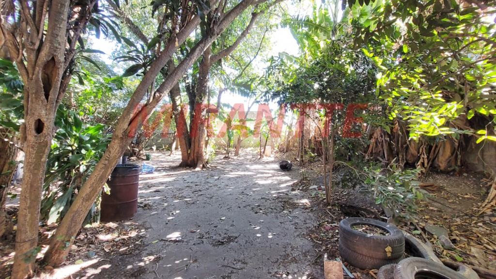 Terreno de 1288m² em Vila Rosa Minelia