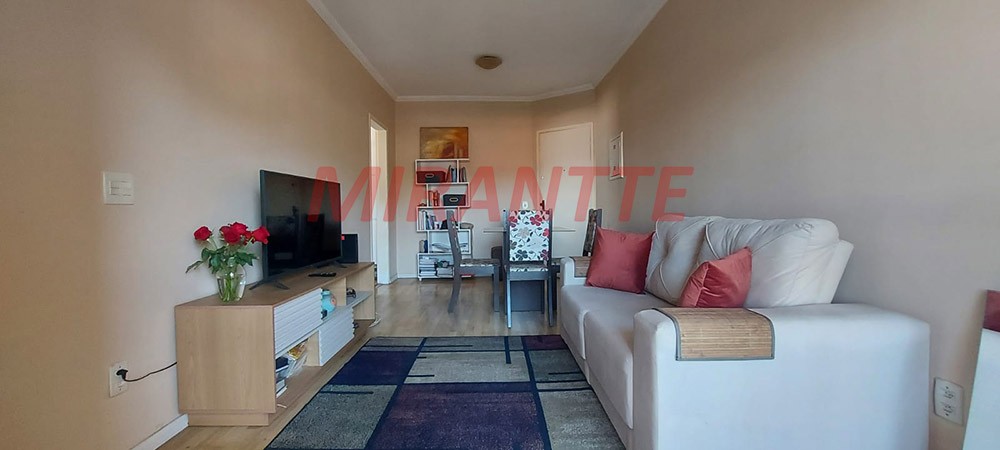 Apartamento de 50m² com 2 quartos em Lauzane Paulista