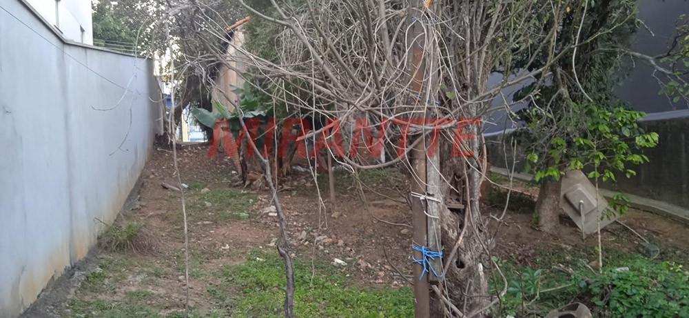 Terreno de 500m² em Guapira