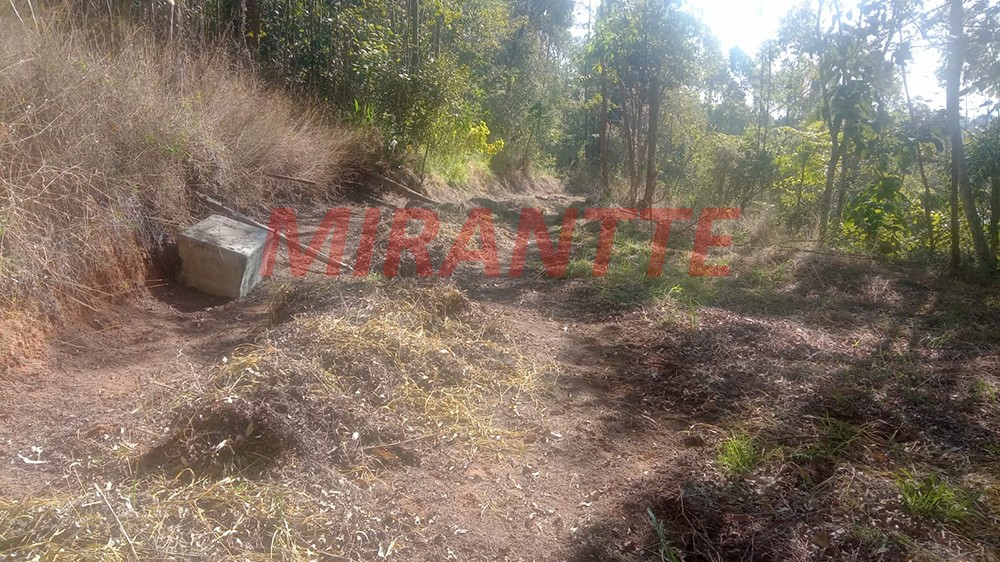 Terreno de 6000m² em PARQUE PETROPOLIS