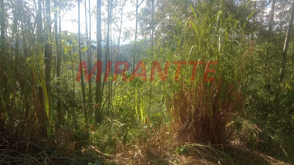 Terreno de 6000m² em PARQUE PETROPOLIS
